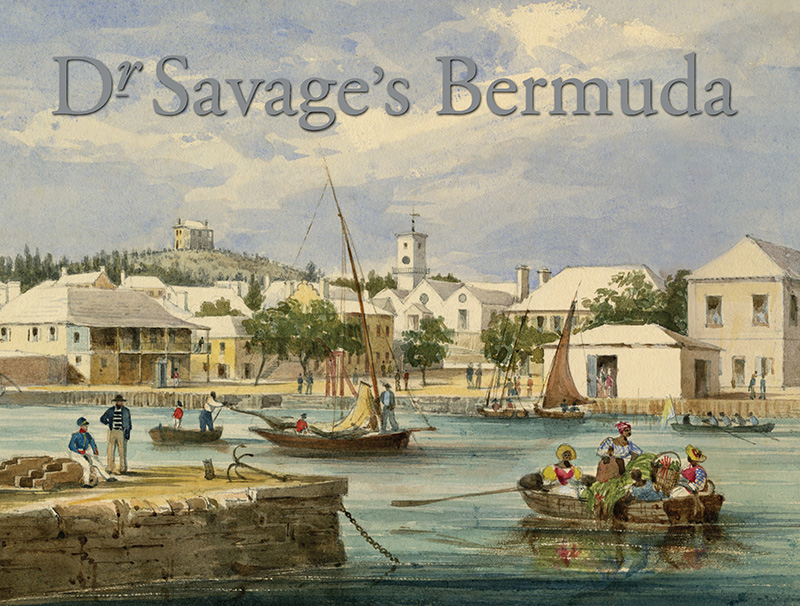 Dr Savage’s Bermuda